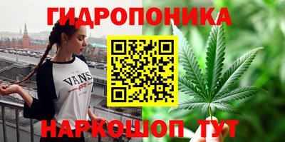 прущие грибы Татарск