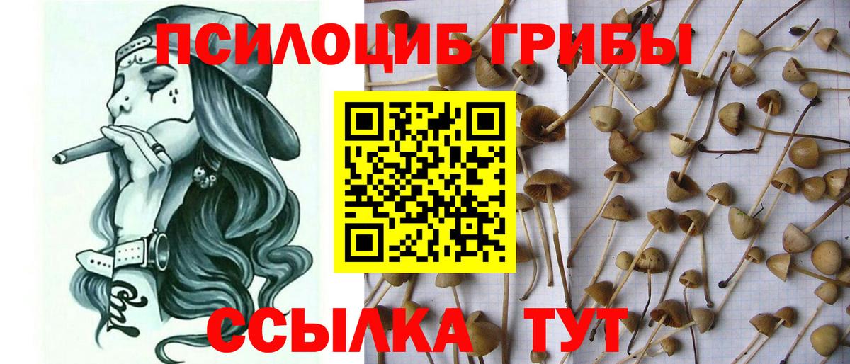 Костомукша  Псилоцибиновые грибы мицелий  Вход с VPN 